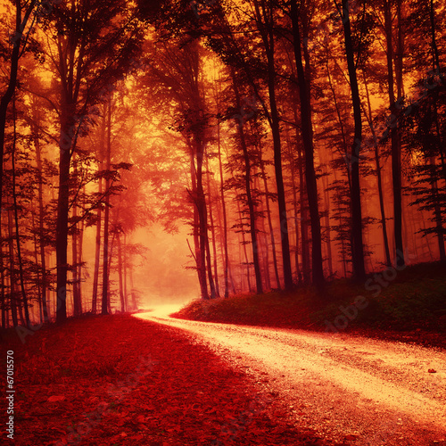 Red colored fantasy forest