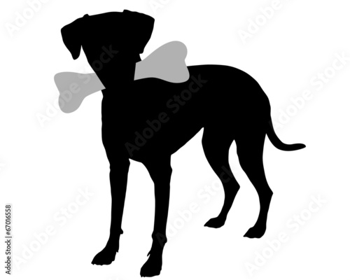 Hund mit Knochen