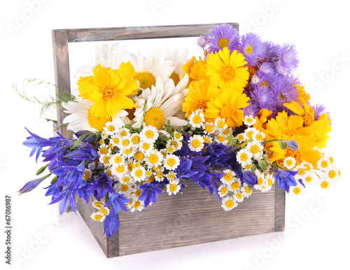 Fototapeta Naklejka Na Ścianę i Meble -  Beautiful flowers in crate isolated on white