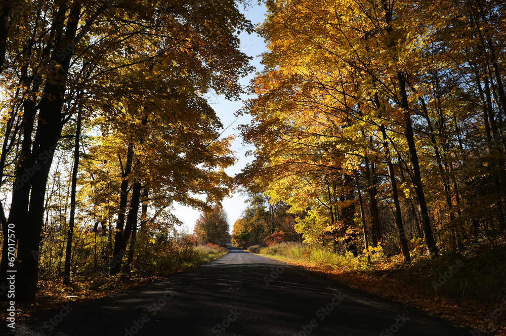 Fototapeta premium Autumn Road