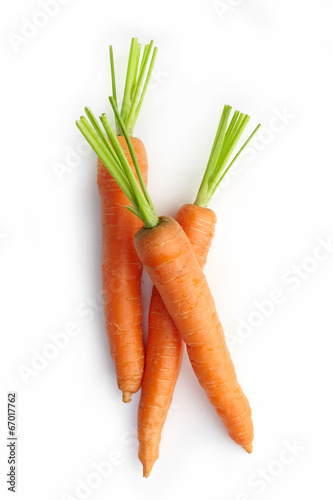 fresh raw carrot