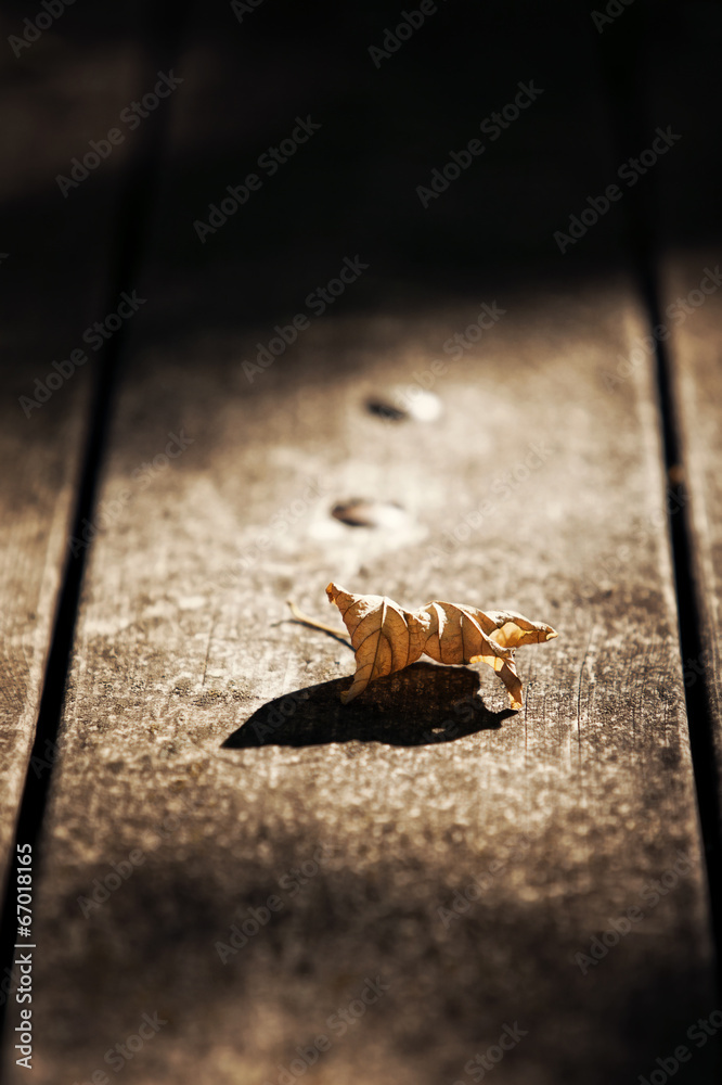 Obraz premium autunno