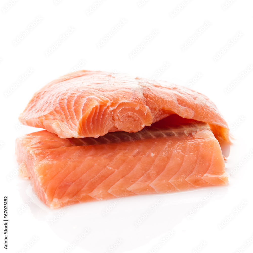 salmon fish