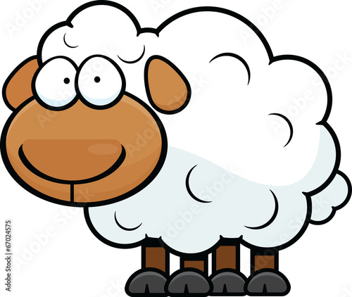 Cartoon Sheep