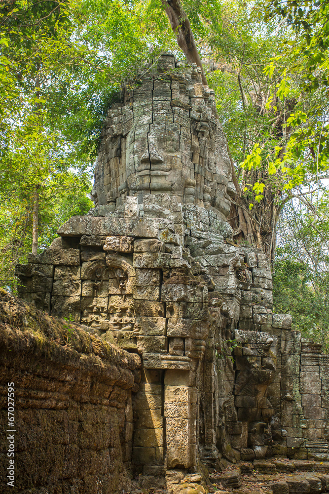 Gates by the ancient Ta Prohm temple at Angkor Wat complex, Siem