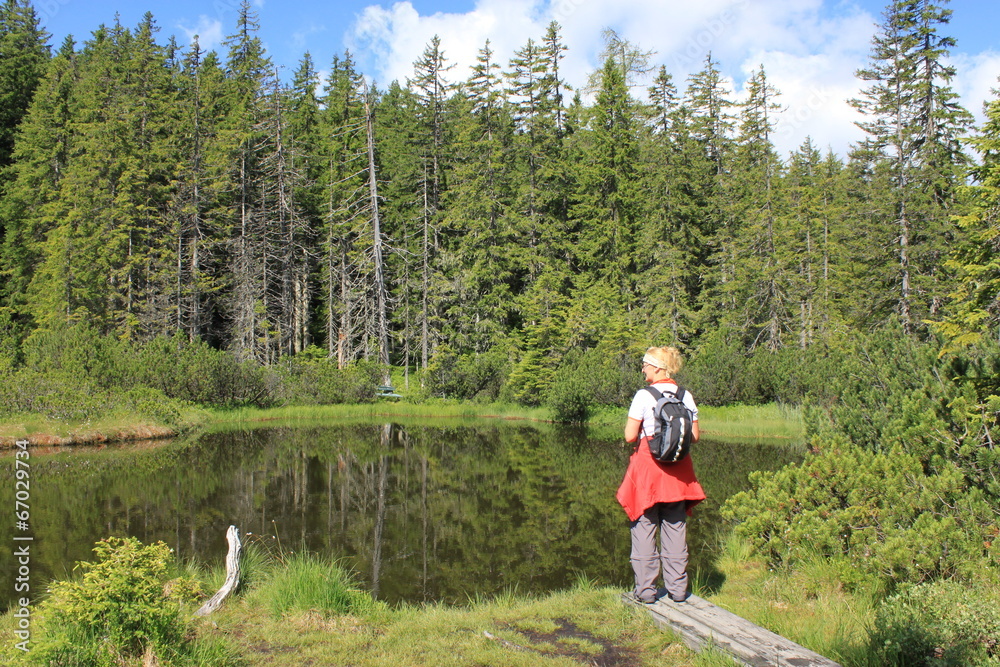 Fototapeta premium Schwarze Lacke