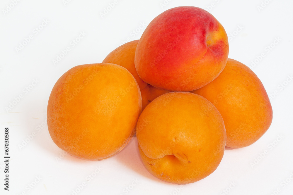 Abricots sur fond blanc