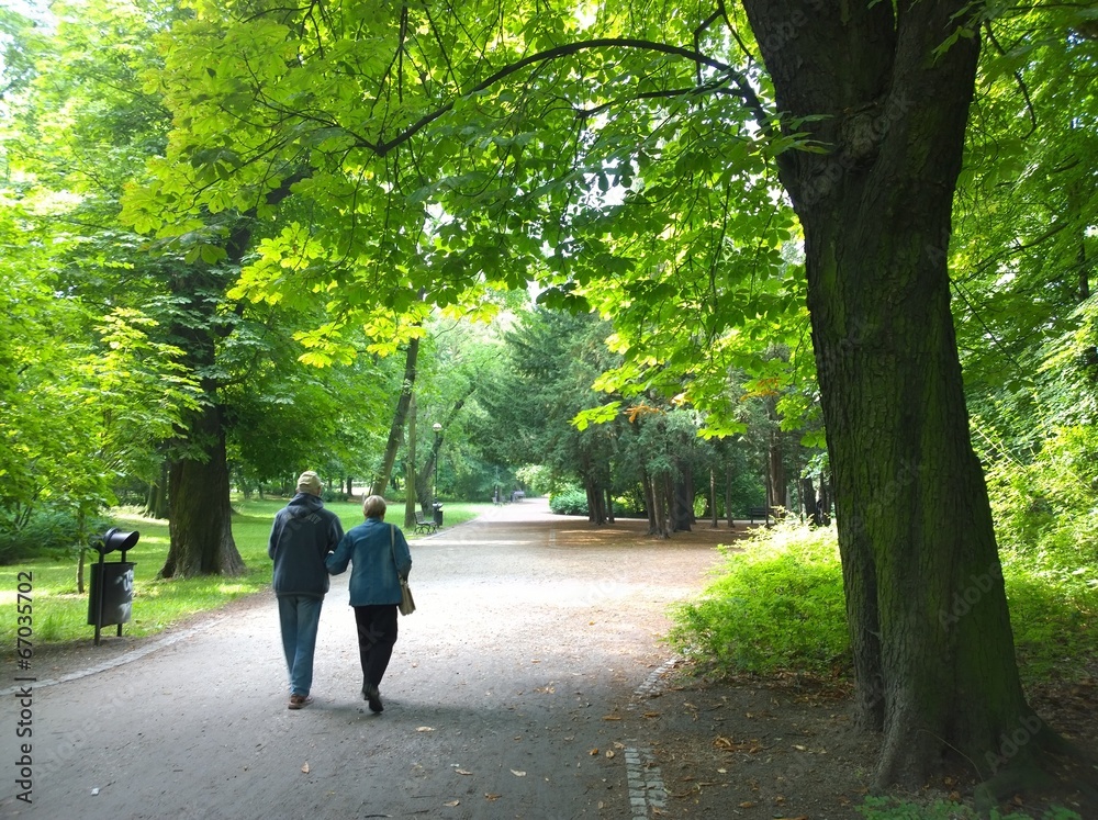Senior couple in the park