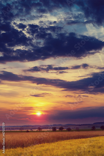 Summer sunset over a field © tomaspic