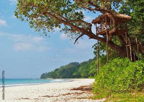 Tropical paradise beach, Radhanagar Beach, Havelock Island photo