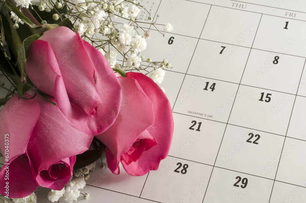 Roses on Valentine's Day foto de Stock Adobe Stock