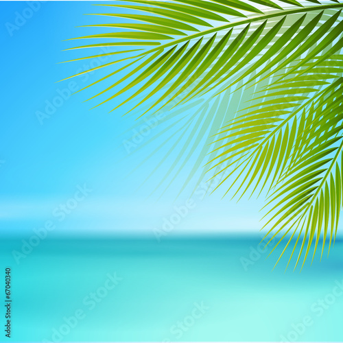 Strand mit Palmenblätter