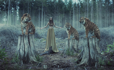 Attractive female trainer with the tigers