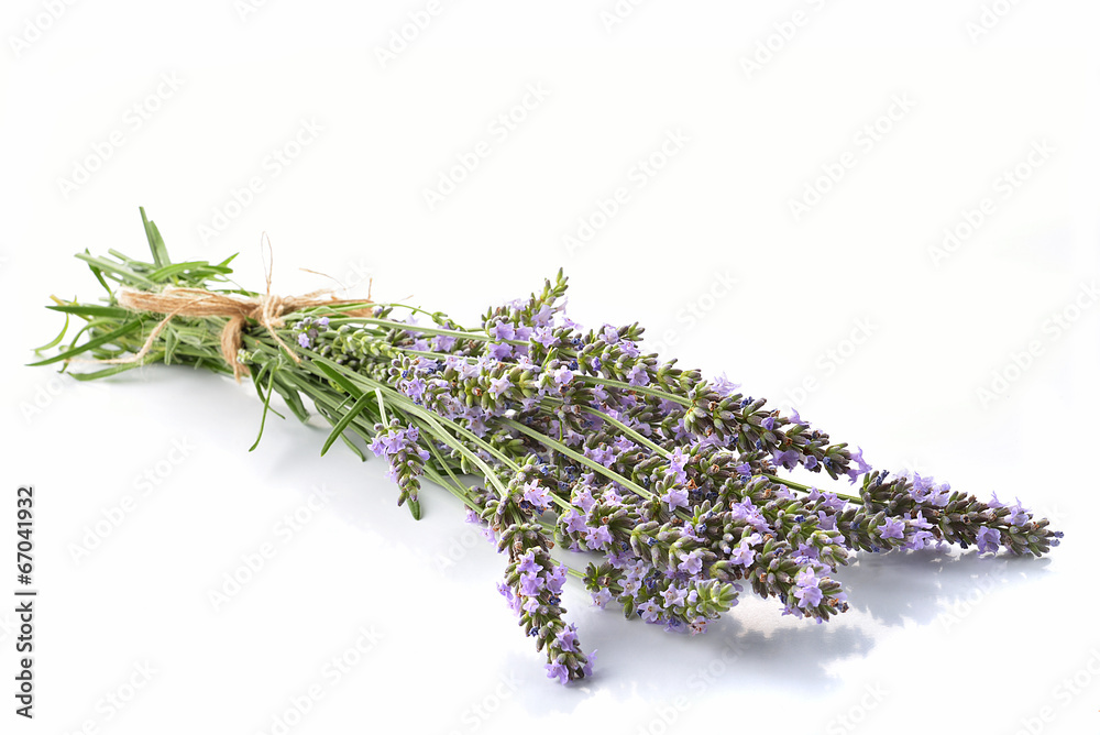 Fototapeta premium lavanda fresca mazzetto