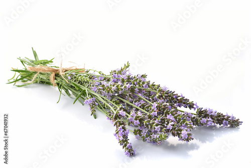 Fototapeta Naklejka Na Ścianę i Meble -  lavanda fresca mazzetto