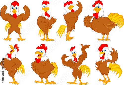 various rooster cartoon photo
