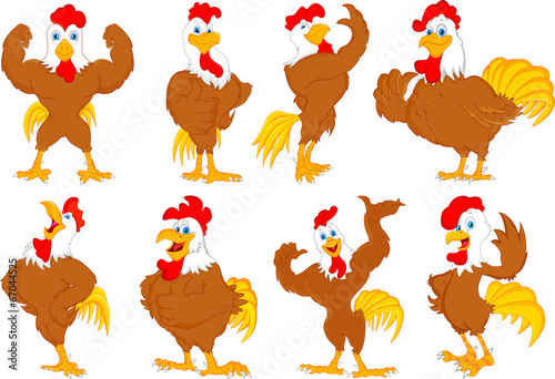 various rooster cartoon