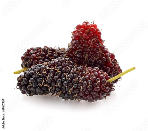 mulberry isolated on white background