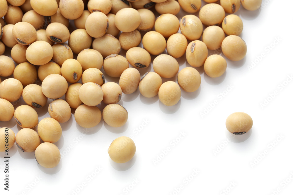 soy beans isolated on white background
