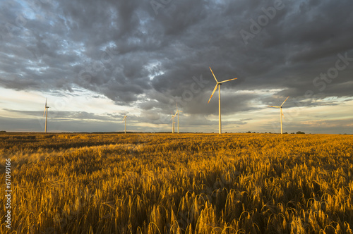 Wind generators turbines on sunset summer landscape photo