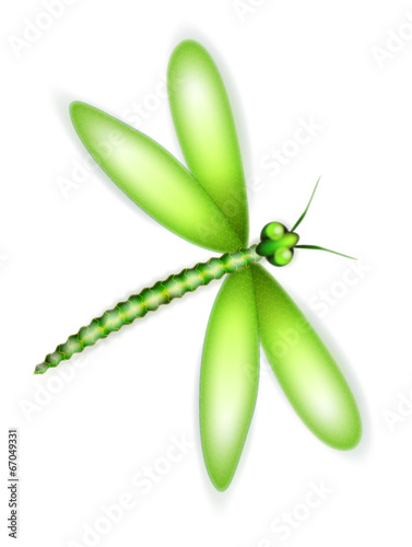 libellule verte illustration