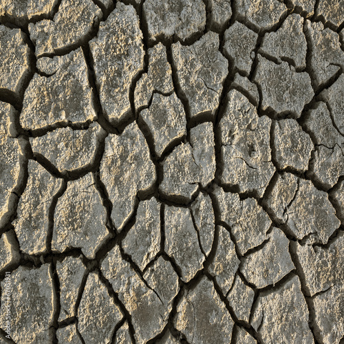 cracked dried earth