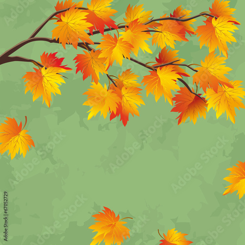Vintage autumn wallpaper, leaf fall background