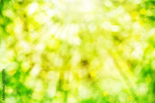 Abstract summer background with sunlight