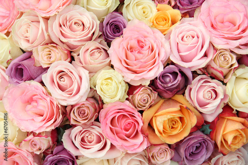 Pastel wedding roses