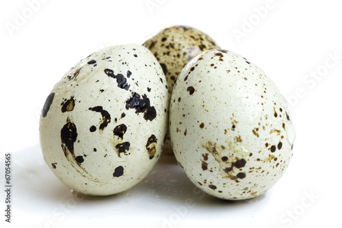 Quail eggs