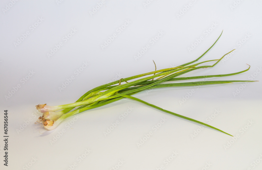 Fototapeta premium Spring onions