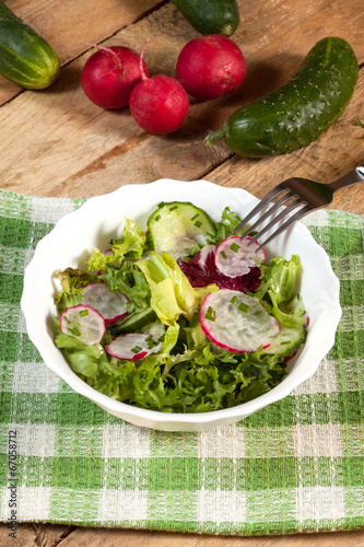 Salad with radish and green cucumber