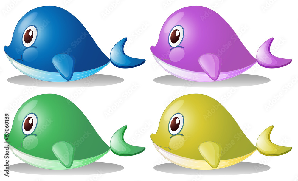 Fototapeta premium Four whales