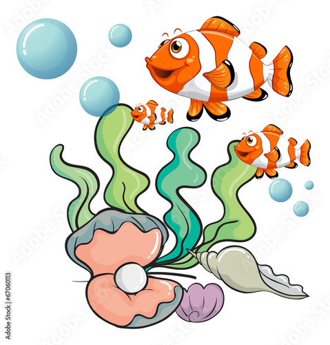 Fishes under the sea with a pearl