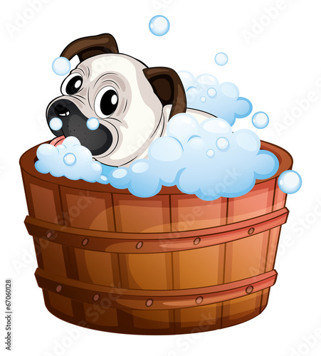 A cute bulldog inside the bathtub