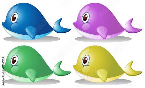 Four whales