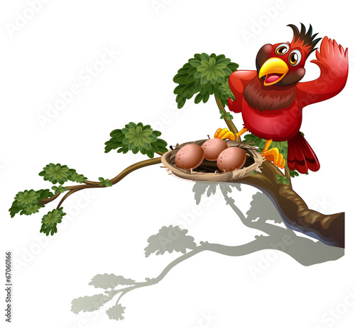 A red bird watching the nest