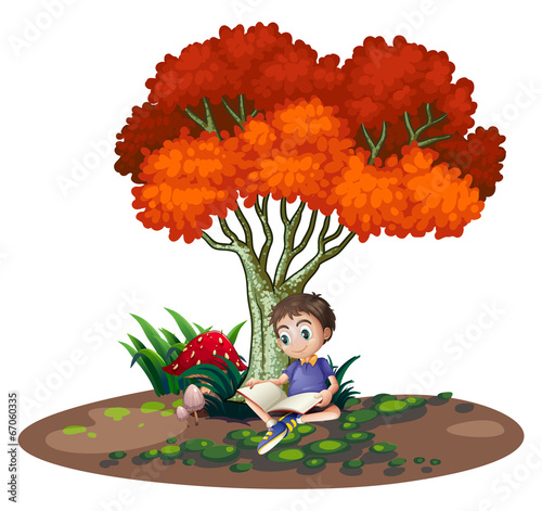 A boy reading under the tree