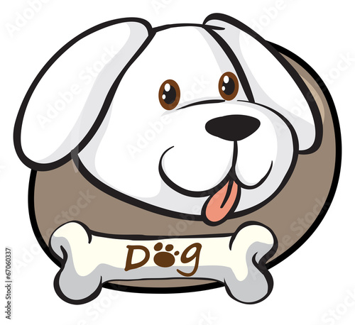 A head of a cute white dog
