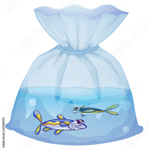 A plastic pouch with two fishes