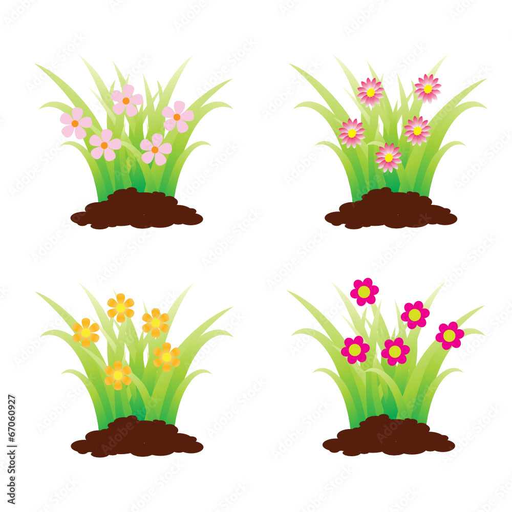 Flores