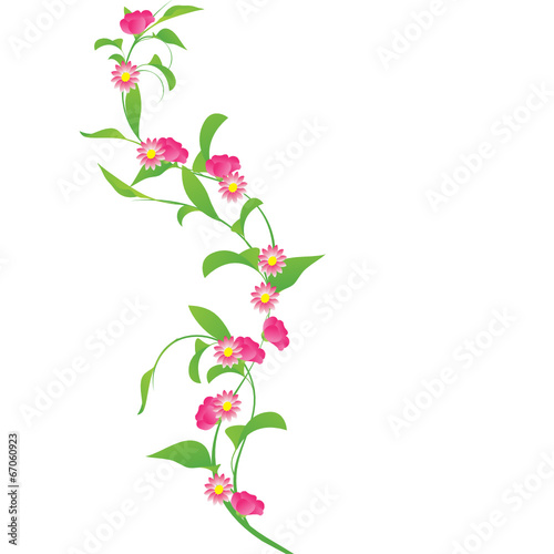 Flores