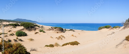 Beach in Sardinia photo