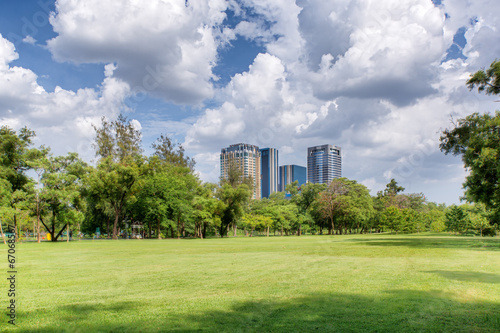 Central park at sunny day