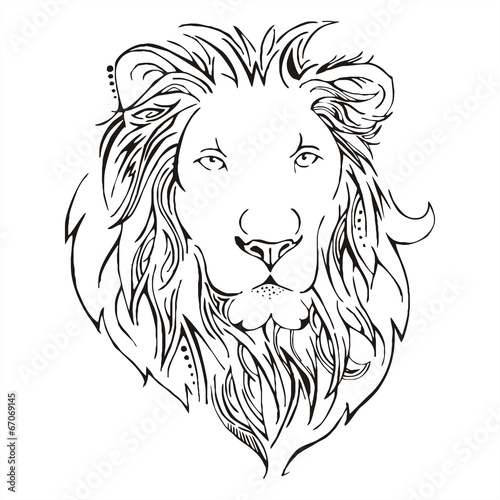 Lion head sketch vector