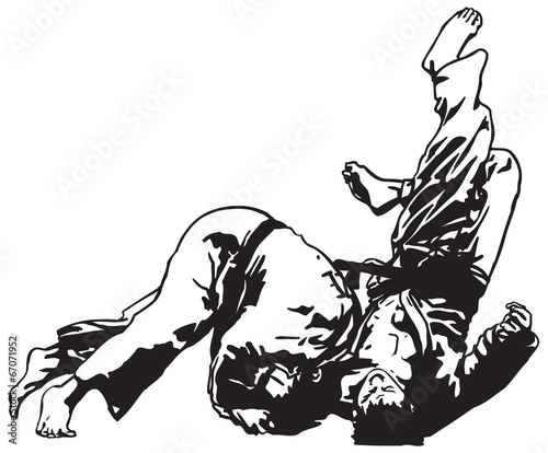 Judo fight