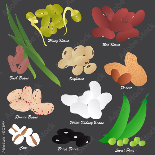 Different kind of Beans Isolated on Background