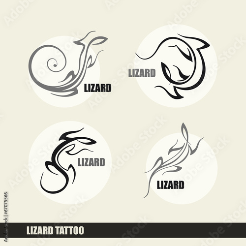 lizard