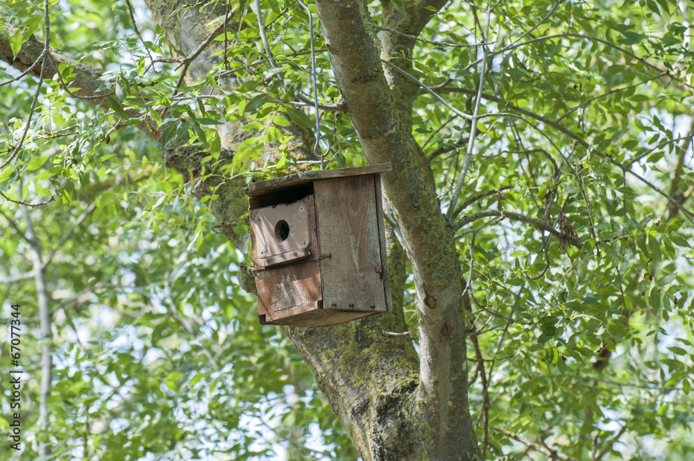 wooden nest wooden nest