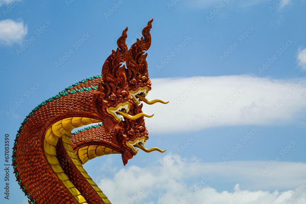 Fototapeta premium naga